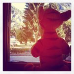 Aaron Shively - @dudegroupchee - Instagram