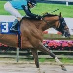 Aaron Shorter Racing - @aaronshorterracing - Instagram