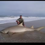 Aaron Shortt - Facebook