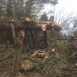 Aaronshortt - @aj_tree_services - Instagram