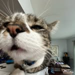 aaron schoen - @aaron.schoen - Instagram