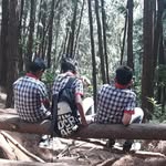 ASA - @aaronshownashwin - Instagram