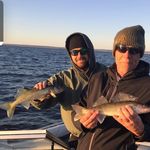 Aaron Shrum - @aaronshrum7 - Instagram