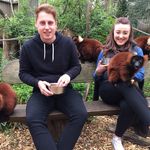 @aaronshuffle - Instagram