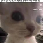 Aron Soler - Facebook