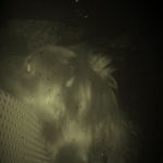 aaron shulman - @aaron_shulman - Instagram