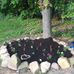 Aaron Shultz - Facebook