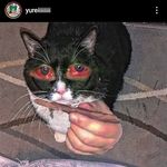 Aaron Six - @aaron_six_999_ - Instagram