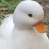 Aaron Solis - @aaron.solis47 - TikTok