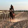 Aaron Solis - @aaron.solis39 - TikTok