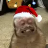 Aaron Solis - @aaron.solis26 - TikTok