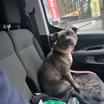 Aaron Southcott - @southcottaaron - Instagram