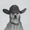 aaronsouthard5 - @aaron_southard_music - TikTok