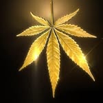 Aaron Spear Spears - @xxkillxxer24 - Instagram