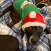 Aaron Spina - Facebook