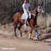 Aaron Schiro - Facebook