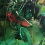 Aaron Stacey - @aaron.stacey.739 - Instagram