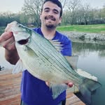Aaron Stapleton - @ygzc - Instagram