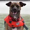 Aaron J Steinberg - @aaron.j.steinberg - TikTok