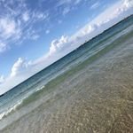 Aaron Steinberg - @aaronsteinzz - Instagram