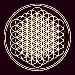 aaron - @_aaron_stewart_ - Instagram