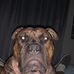 Aaron Stewart - Facebook