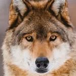 Aaron Stobaugh - @predatorapex18 - Instagram