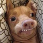 Aaron Stull - @stull_aaron - Instagram