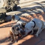 Aaron Stull - @fastz06c6 - Instagram