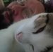 Aaron T Stumpf - Facebook