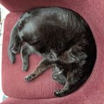 Aaron Swenson - @barry_von_swensonheimer_iii - Instagram