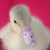 Aaron Tagle - @30273372841 - TikTok