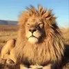 Aaron Tagle - @aaron.tagle2 - TikTok