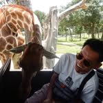 Aaron Tao - @aarontao1611 - Instagram