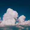 Aaron_Tao - @Aaron_Tao - TikTok