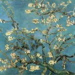 @aarontao - Instagram
