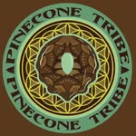 Aaron Tesch - @pineconetribe - Instagram