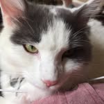 Aaron Tesch - @aarontesch50 - Instagram