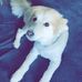 Aaron Thielen - Facebook