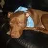 aarontipton492 - @aarontipton492 - TikTok