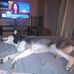 Aaron Tomes - Facebook