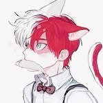 aaron tonkin - @wrench23322 - Instagram