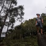 Aaron Tony - @aaron.tony.1481 - Instagram