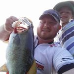Aaron Toomer - @toomeraaron - Instagram