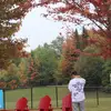aarontostitos - @aarontostitos - TikTok