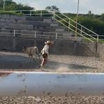 aron bañuelos valderrama - @prie.to264 - Instagram