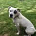 Aaron Townes - Facebook