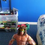 Aaron Denvers - @aarons_wwe_toy_show - Instagram