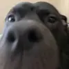 aaron.toyo - @aaron.toyo - TikTok