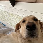 toyo - @aaron.toyo - Instagram